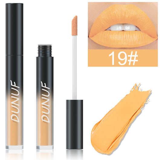 Matte Lipstick/ Lipgloss